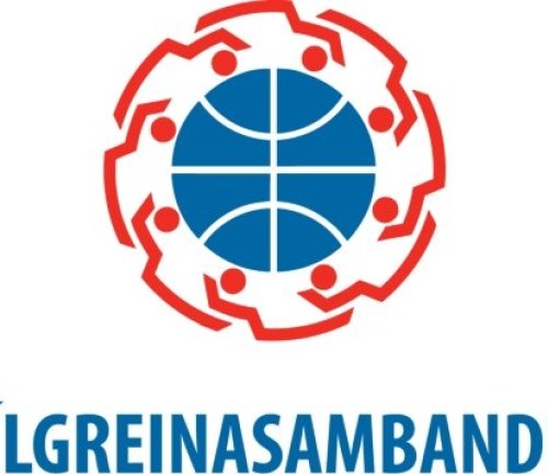 Rafbílar vinsælasti orkugjafinn í nóvember 2024