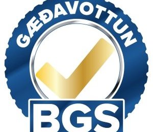 Er þitt verkstæði örugglega með?