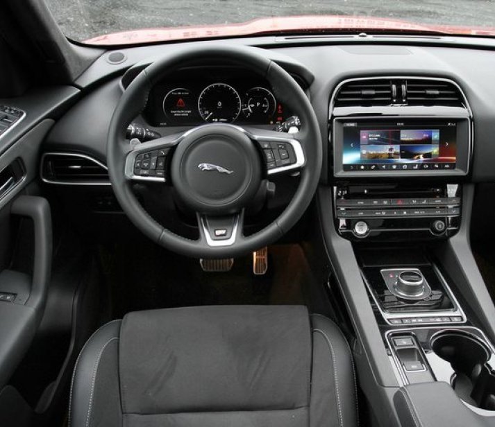 Öskrandi villiköttur mættur