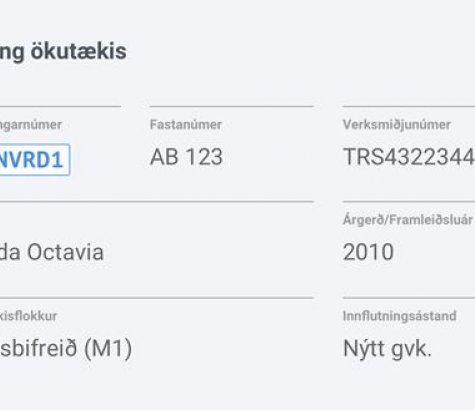 Bættar upplýsingar úr ökutækjaskrá á raunverd.is